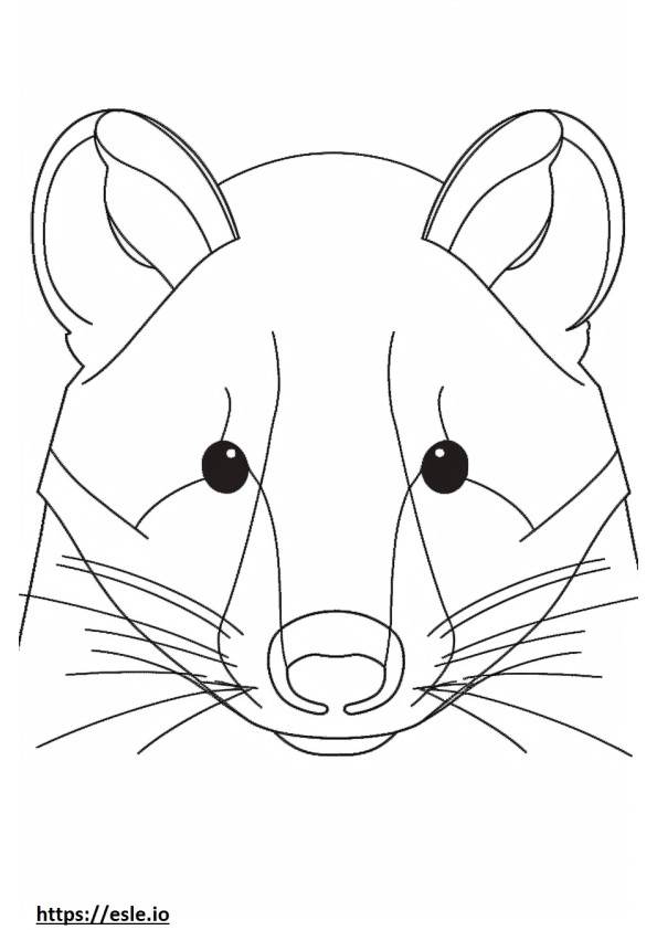 British Timber face coloring page