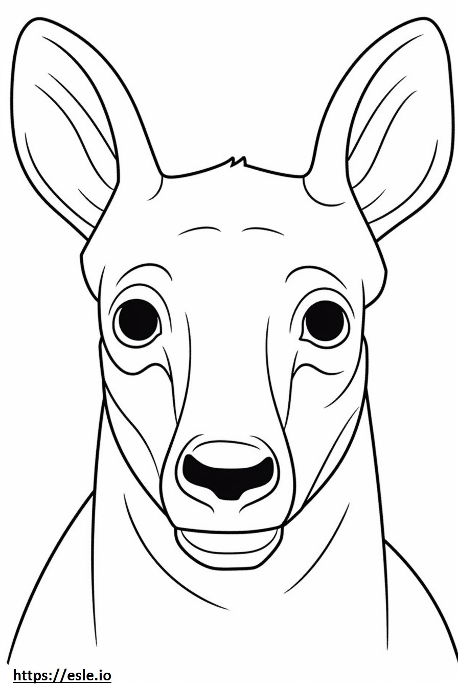 British Timber face coloring page