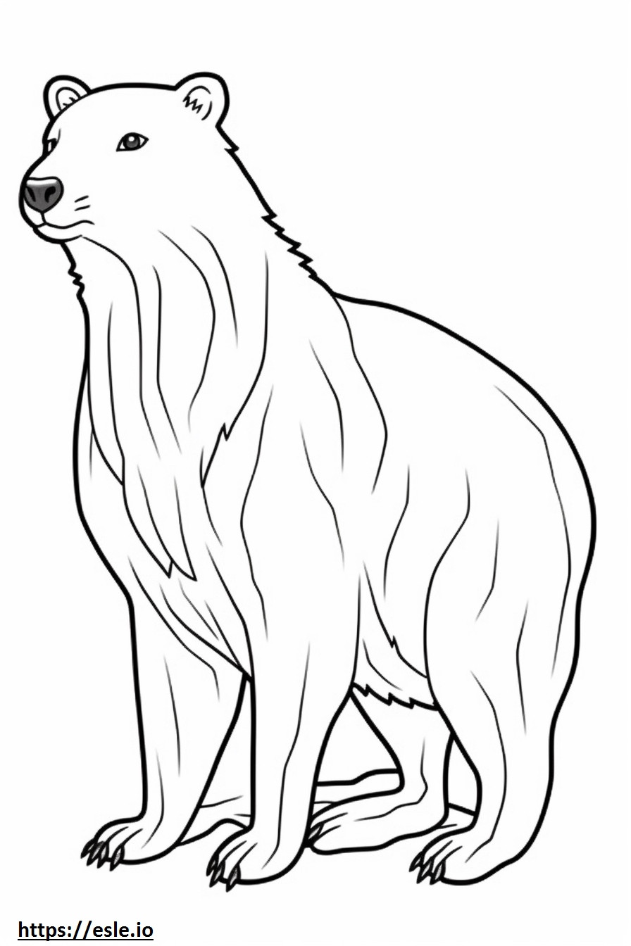 British Timber full body coloring page