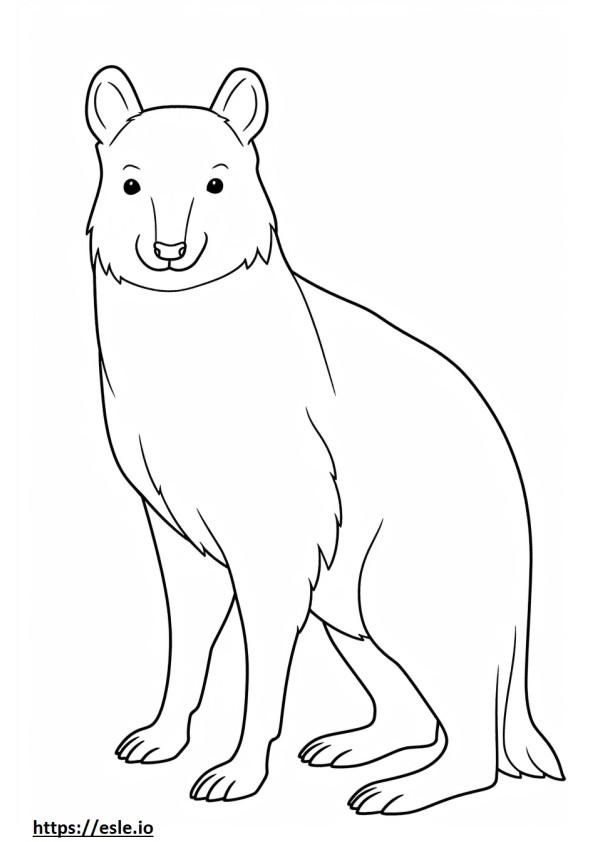 British Timber full body coloring page