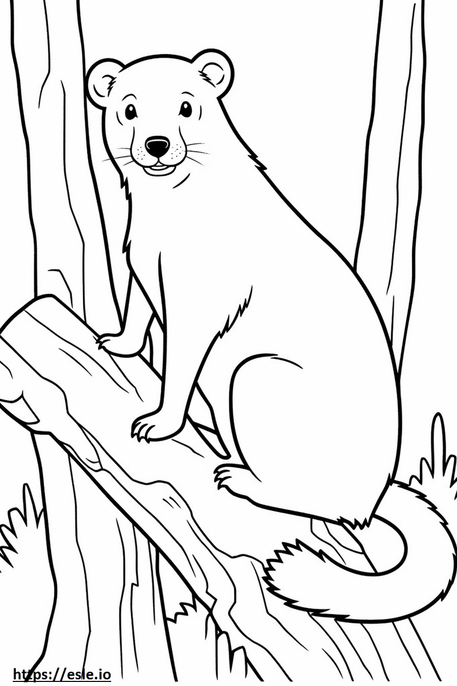 Coloriage Caricature de British Timber à imprimer