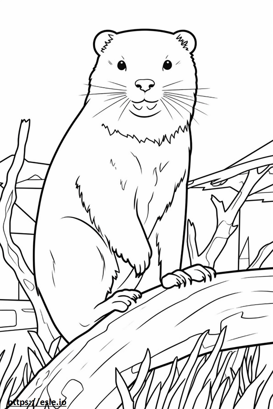 British Timber cute coloring page