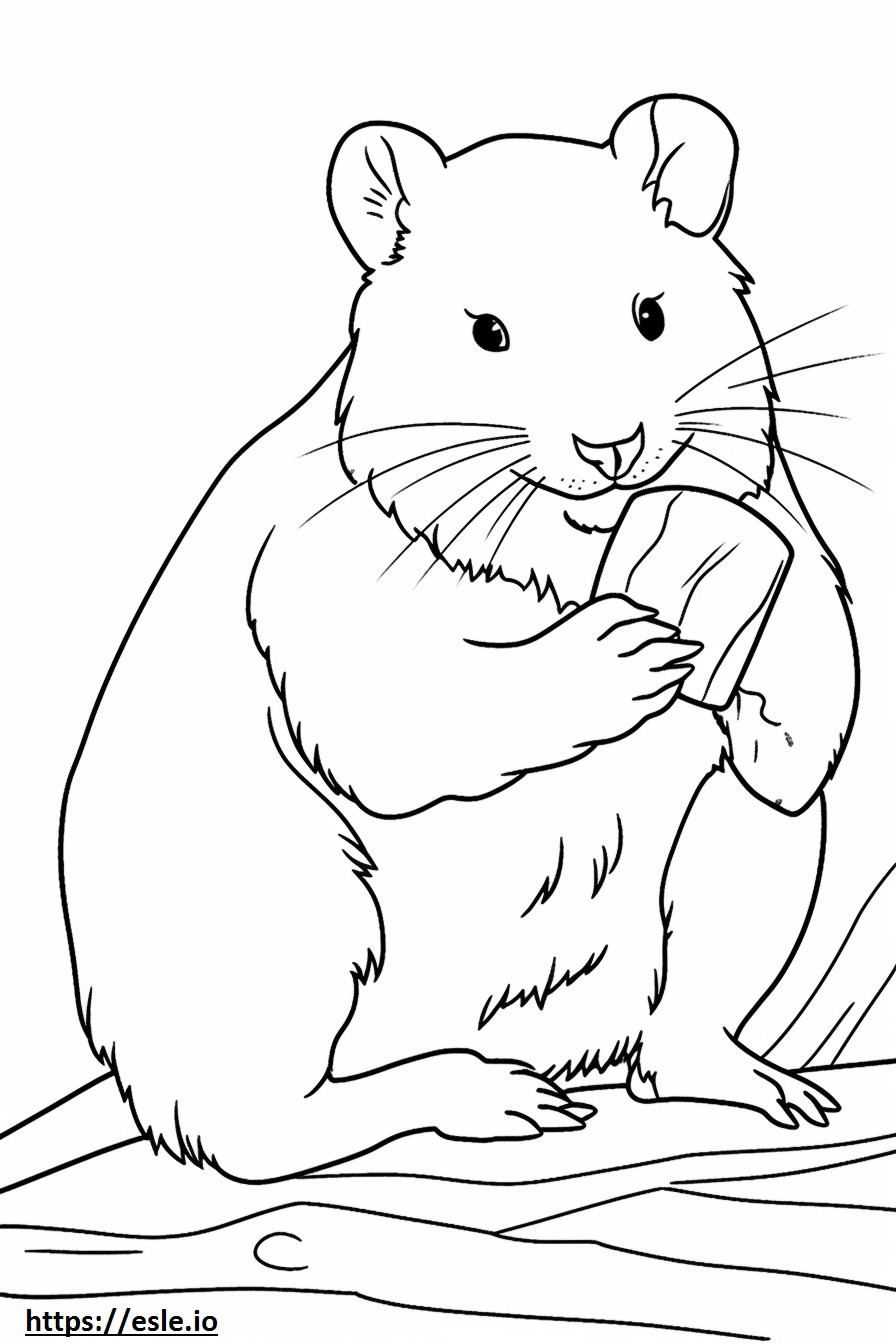 British Timber cute coloring page