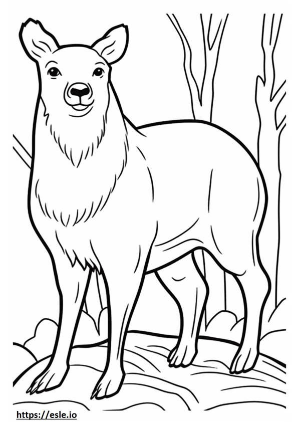 British Timber happy coloring page