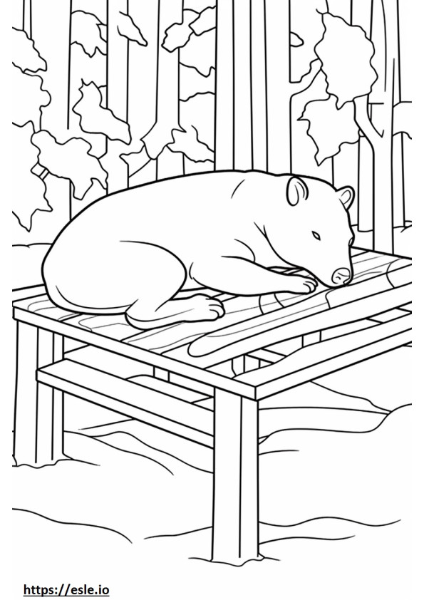 British Timber Sleeping coloring page