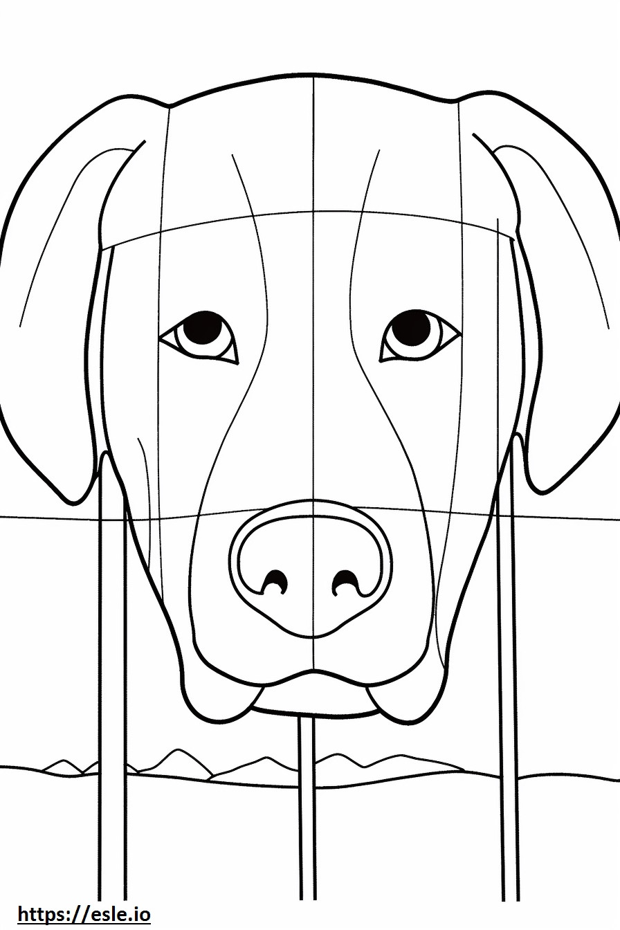 Brittany face coloring page