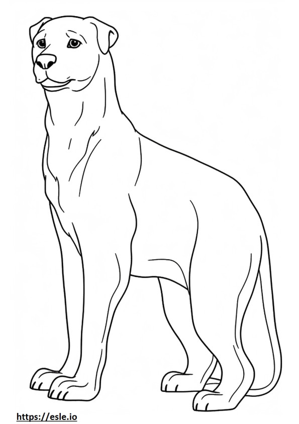 Brittany full body coloring page