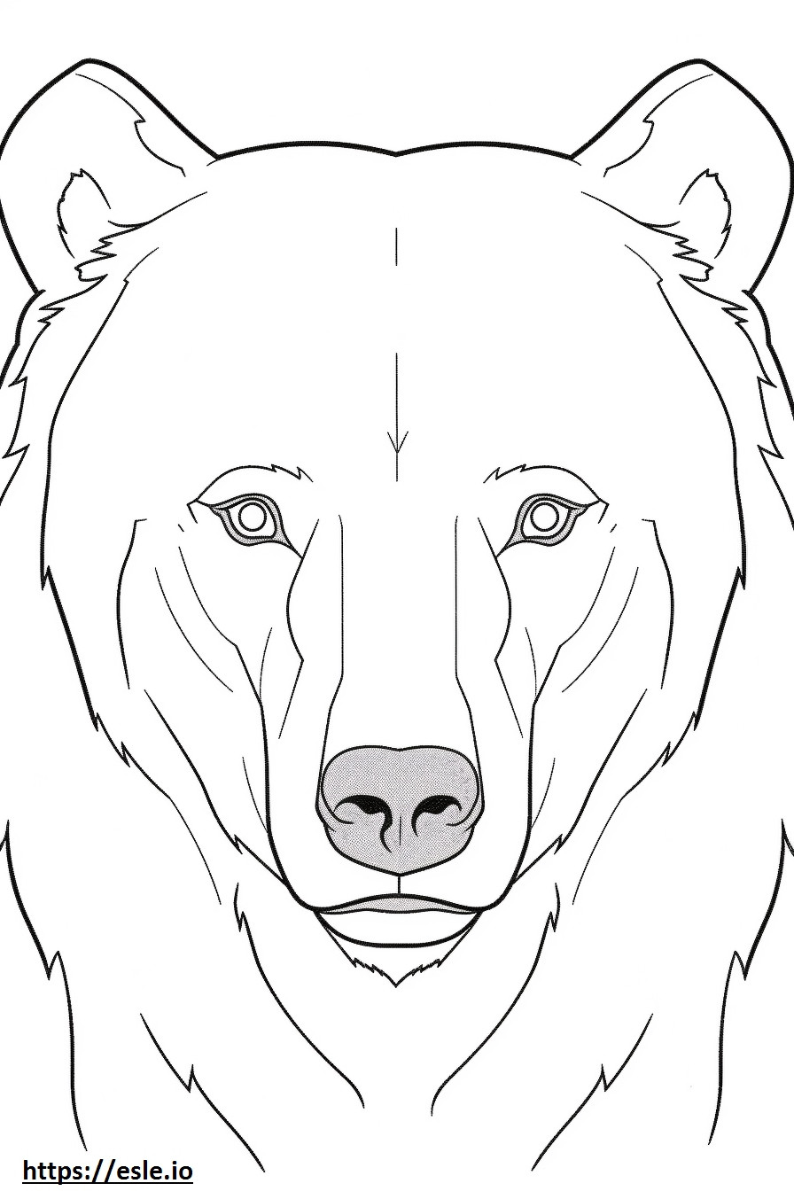 Brown Bear face coloring page