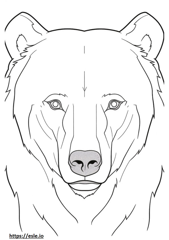Coloriage Visage d'ours brun à imprimer