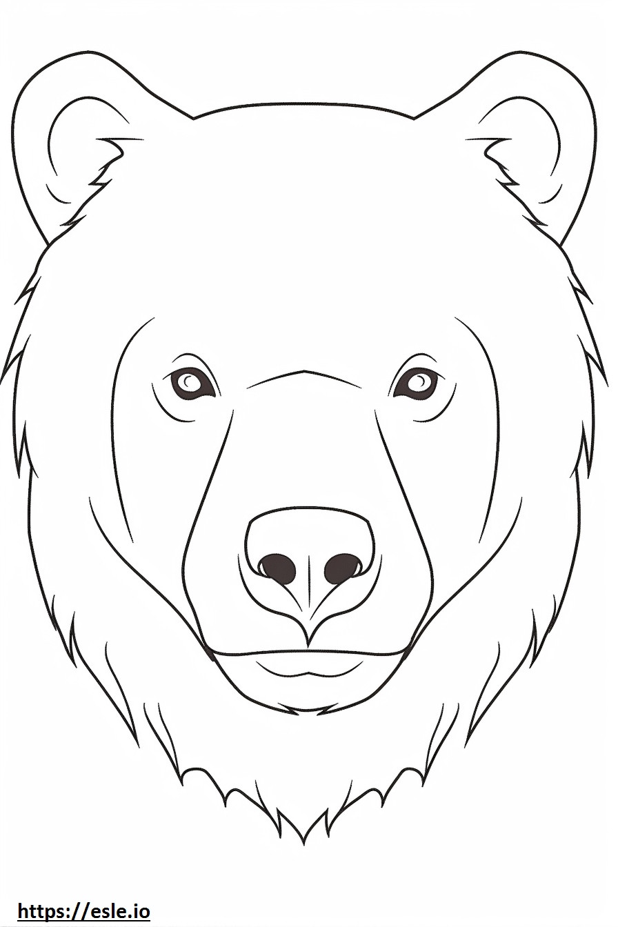 Cara de urso pardo para colorir