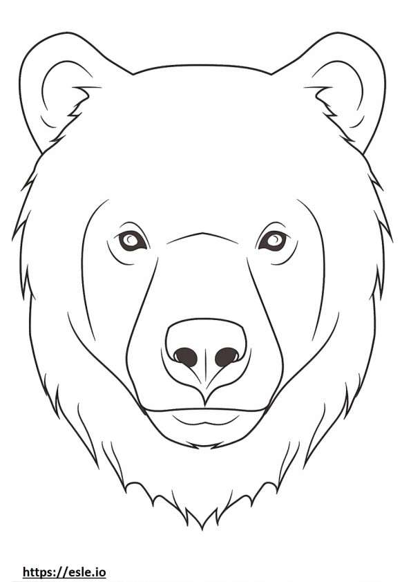 Cara de urso pardo para colorir