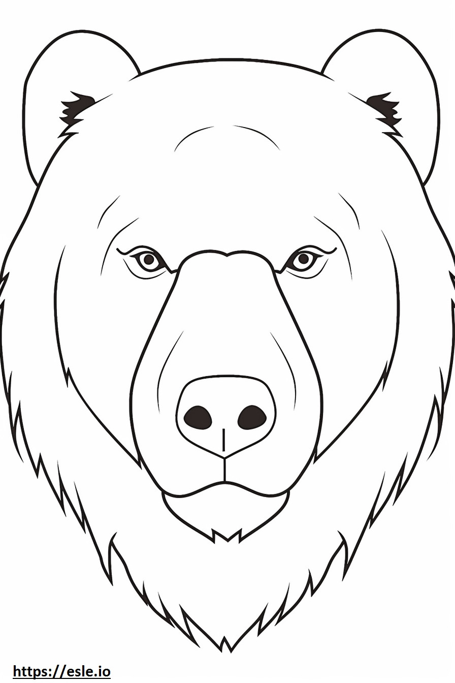 Cara de oso pardo para colorear e imprimir