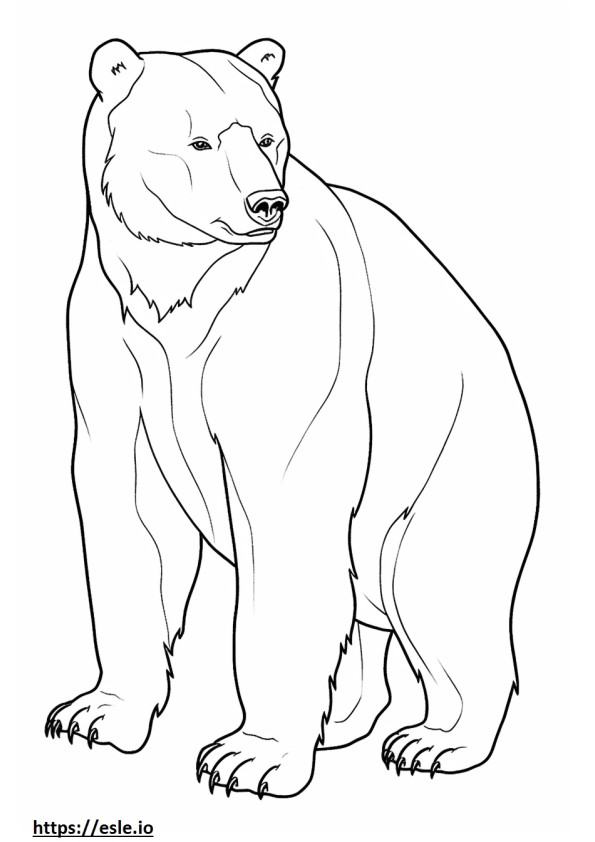 Brown Bear full body coloring page