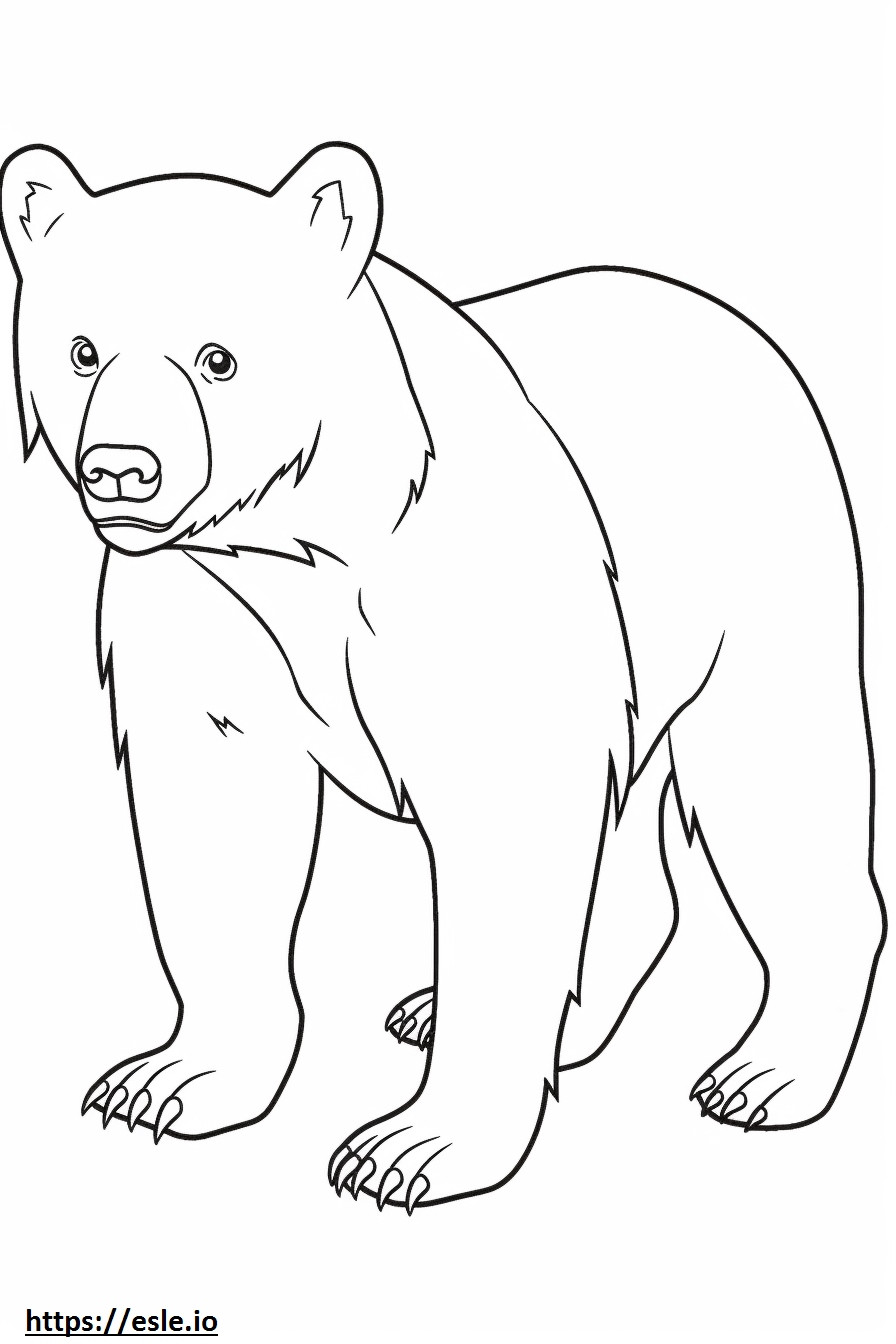 Bebê urso pardo para colorir