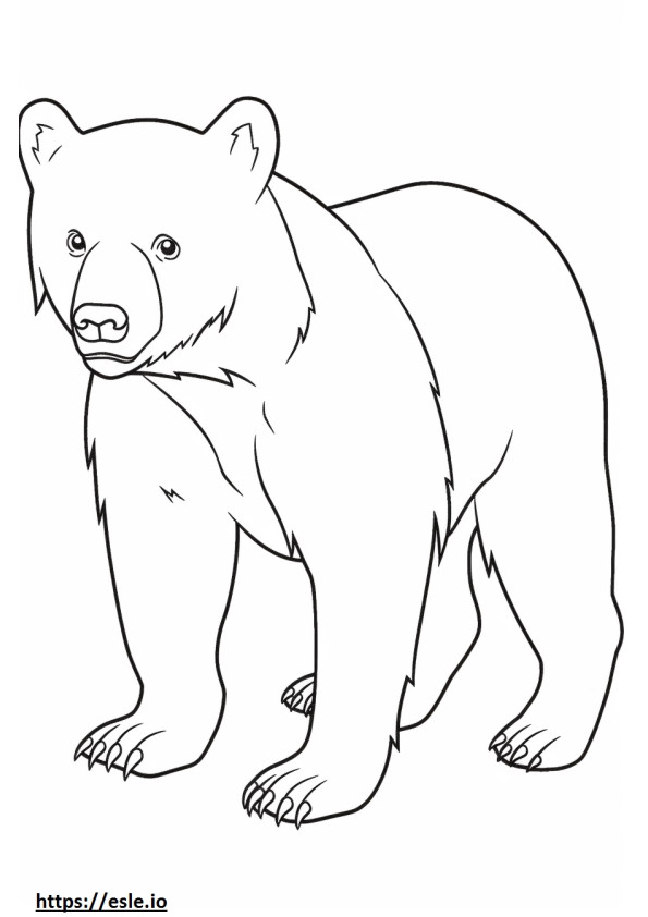 Brown Bear baby coloring page