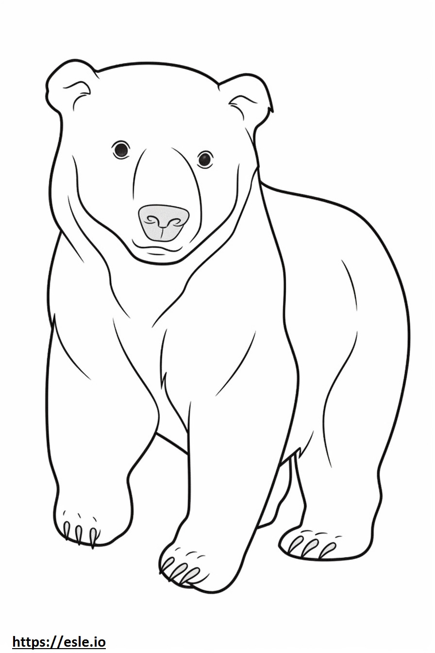 Braunbärenbaby ausmalbild