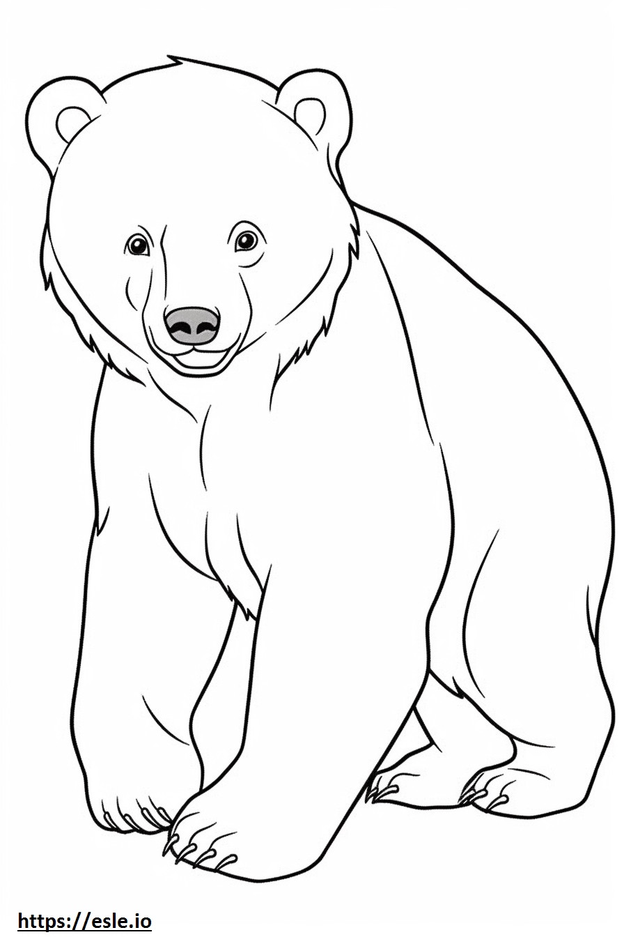 Bebé oso pardo para colorear e imprimir