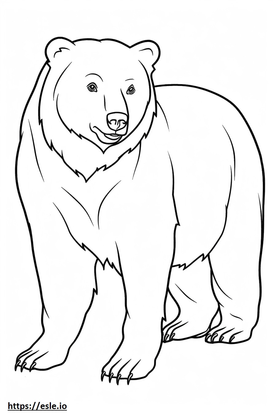 Cartone animato di orso bruno da colorare