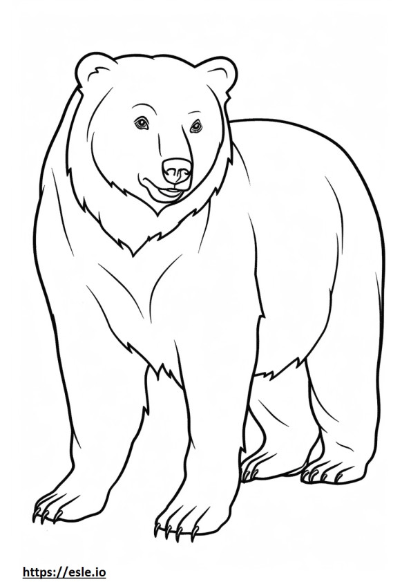 Dibujos animados de oso pardo para colorear e imprimir