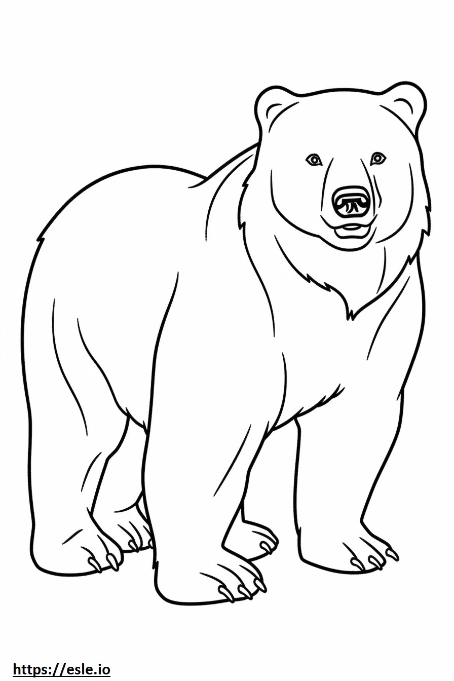 Desenho de urso pardo para colorir