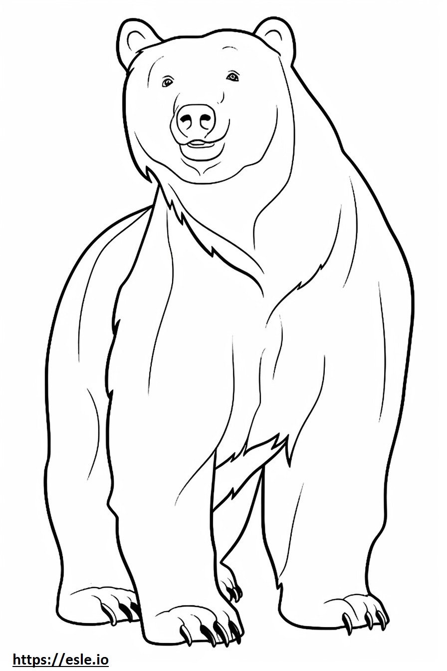 Coloriage Caricature d'ours brun à imprimer
