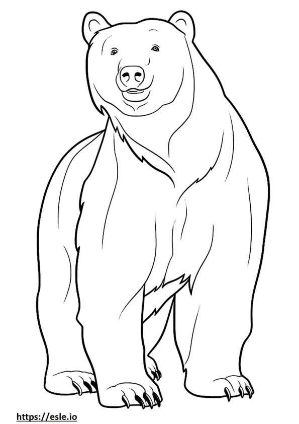Brown Bear cartoon coloring page