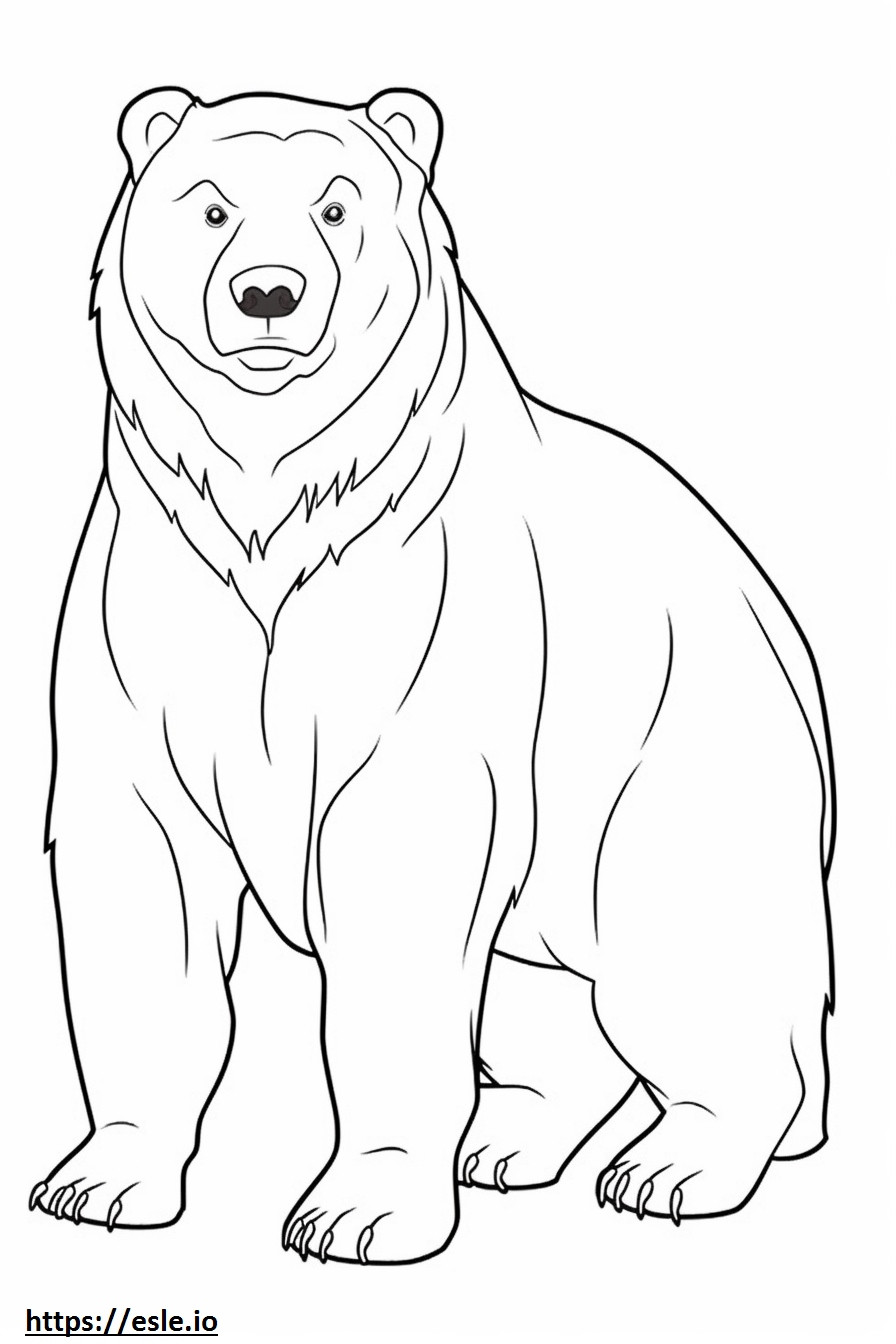 Cartone animato di orso bruno da colorare