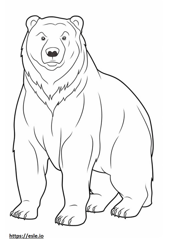 Coloriage Caricature d'ours brun à imprimer