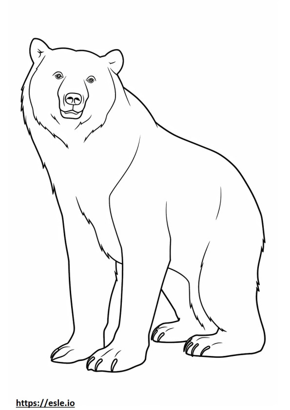 Brown Bear cute coloring page