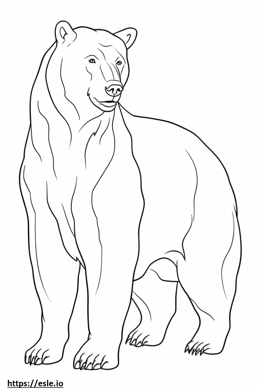 Urso Marrom fofo para colorir