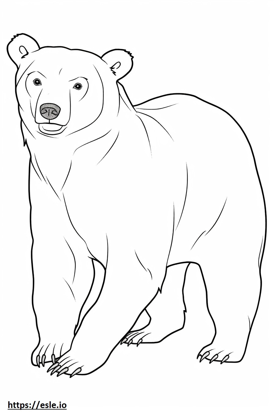 Urso Marrom fofo para colorir