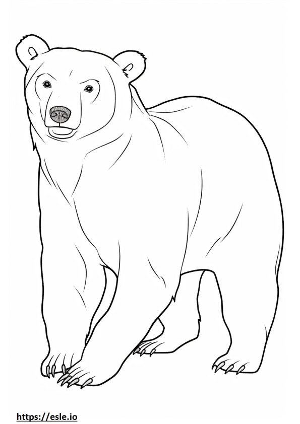Brown Bear cute coloring page