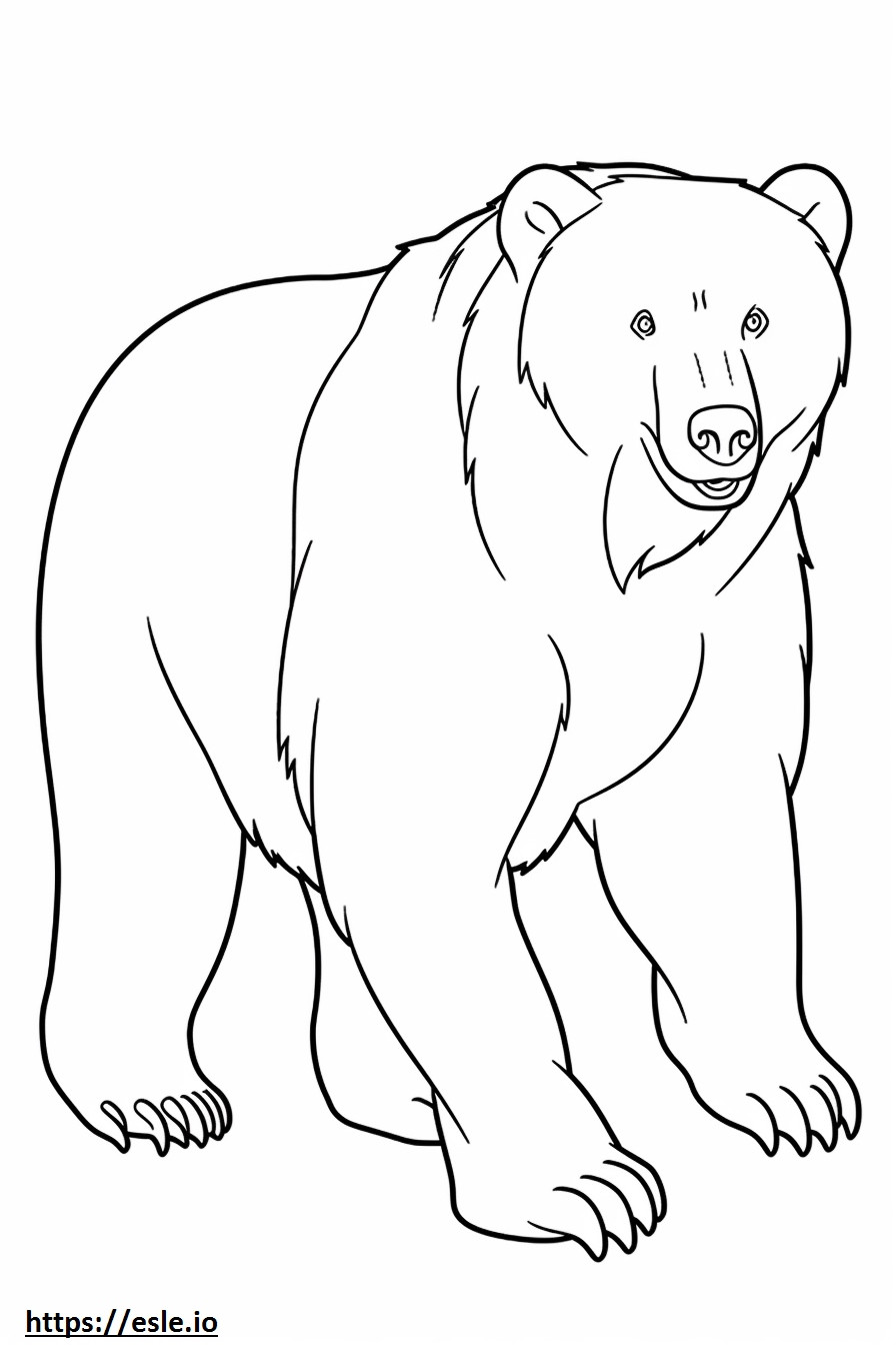 Urso pardo feliz para colorir