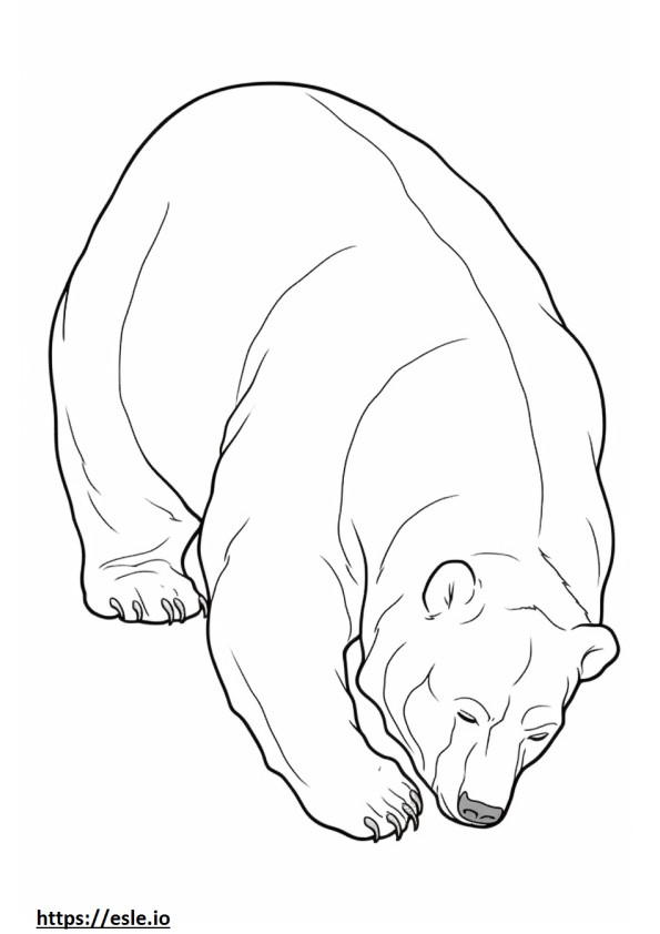 Brown Bear Sleeping coloring page