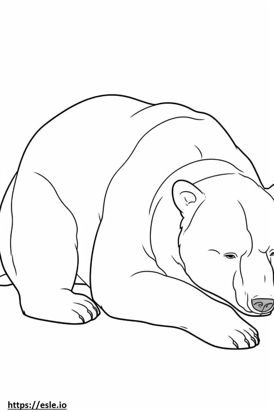 Bruine beer slaapt kleurplaat kleurplaat