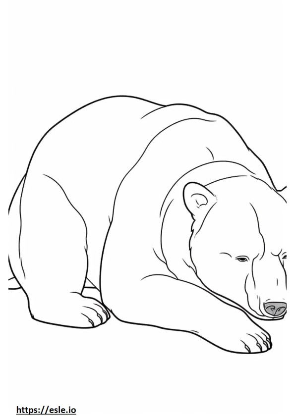 Braunbär, schlafend ausmalbild