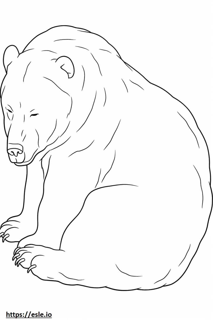 Bruine beer slaapt kleurplaat kleurplaat