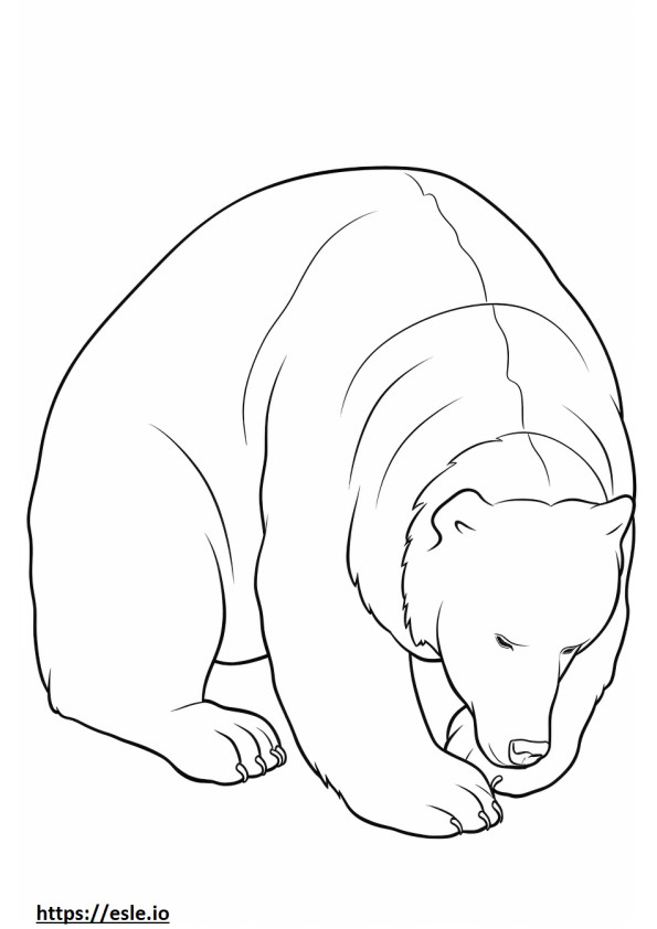 Bruine beer slaapt kleurplaat