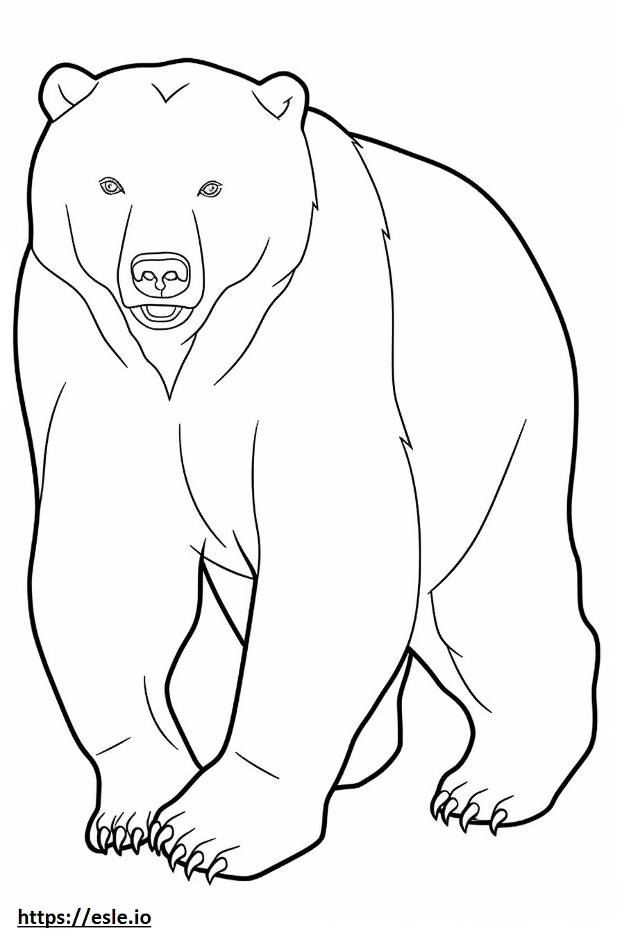 Brown Bear Playing coloring page
