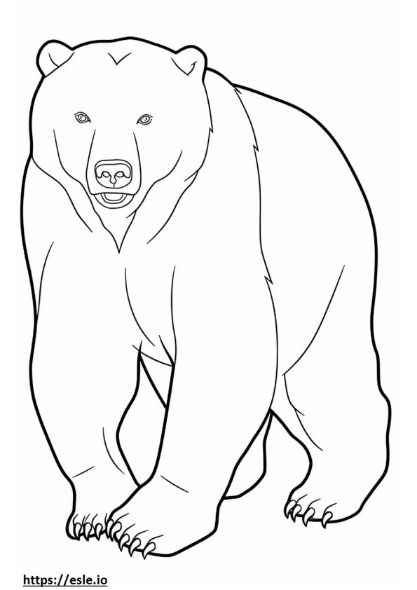 Urso Pardo Brincando para colorir
