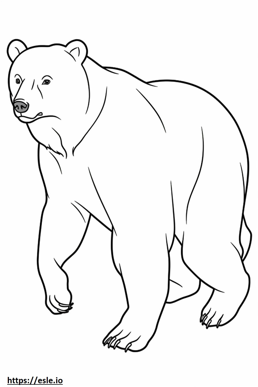 Urso Pardo Brincando para colorir
