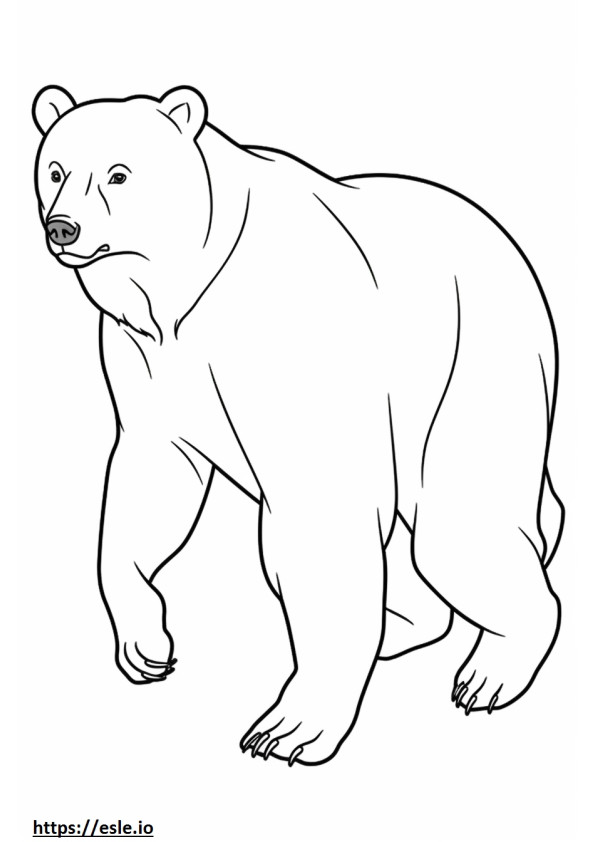 Ruskea karhu leikkii värityskuva