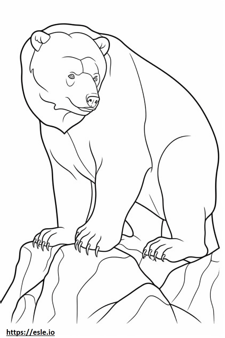 Amigable con el oso pardo para colorear e imprimir