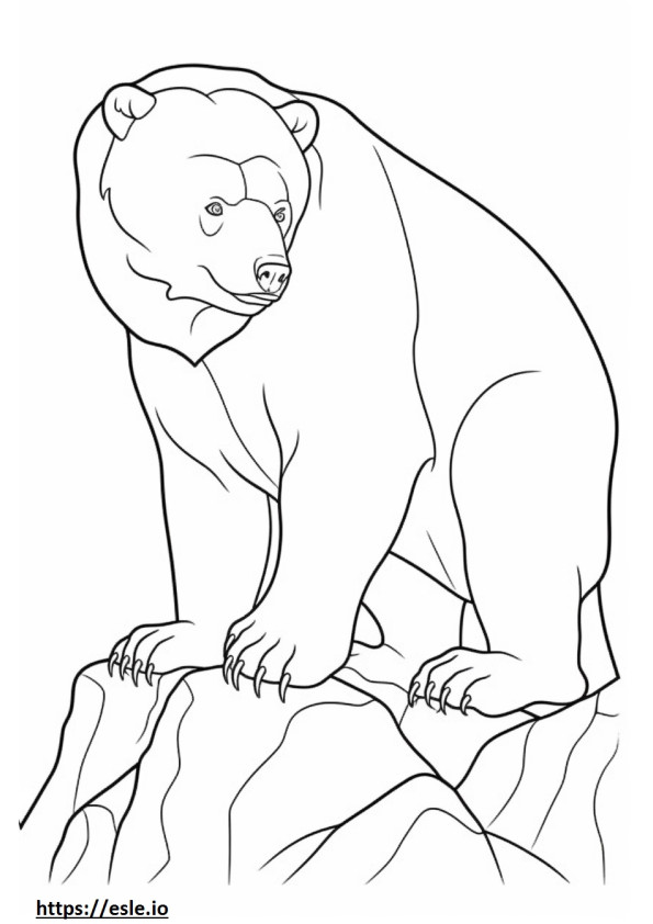 Coloriage Amical pour les ours bruns à imprimer