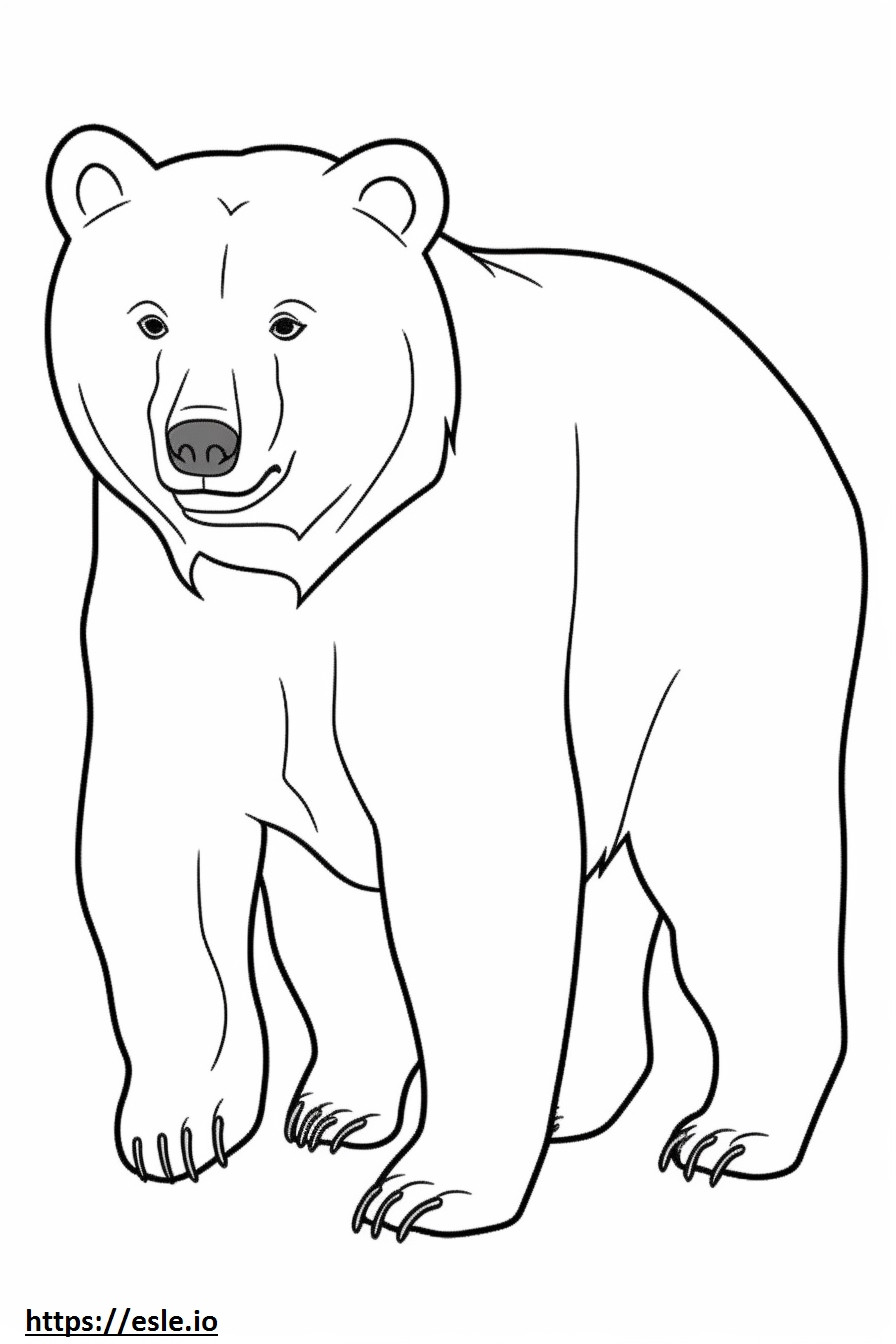 Amigável ao urso pardo para colorir