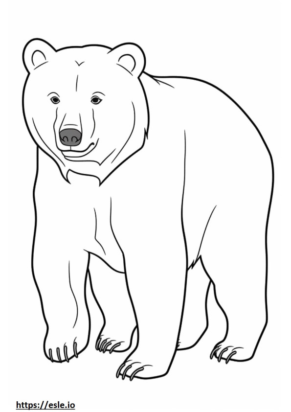 Amichevole con l'orso bruno da colorare