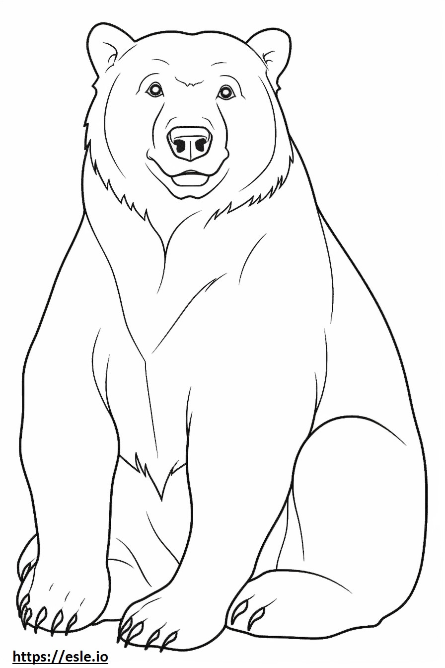 Amichevole con l'orso bruno da colorare