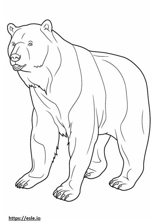 Brown Bear Friendly coloring page