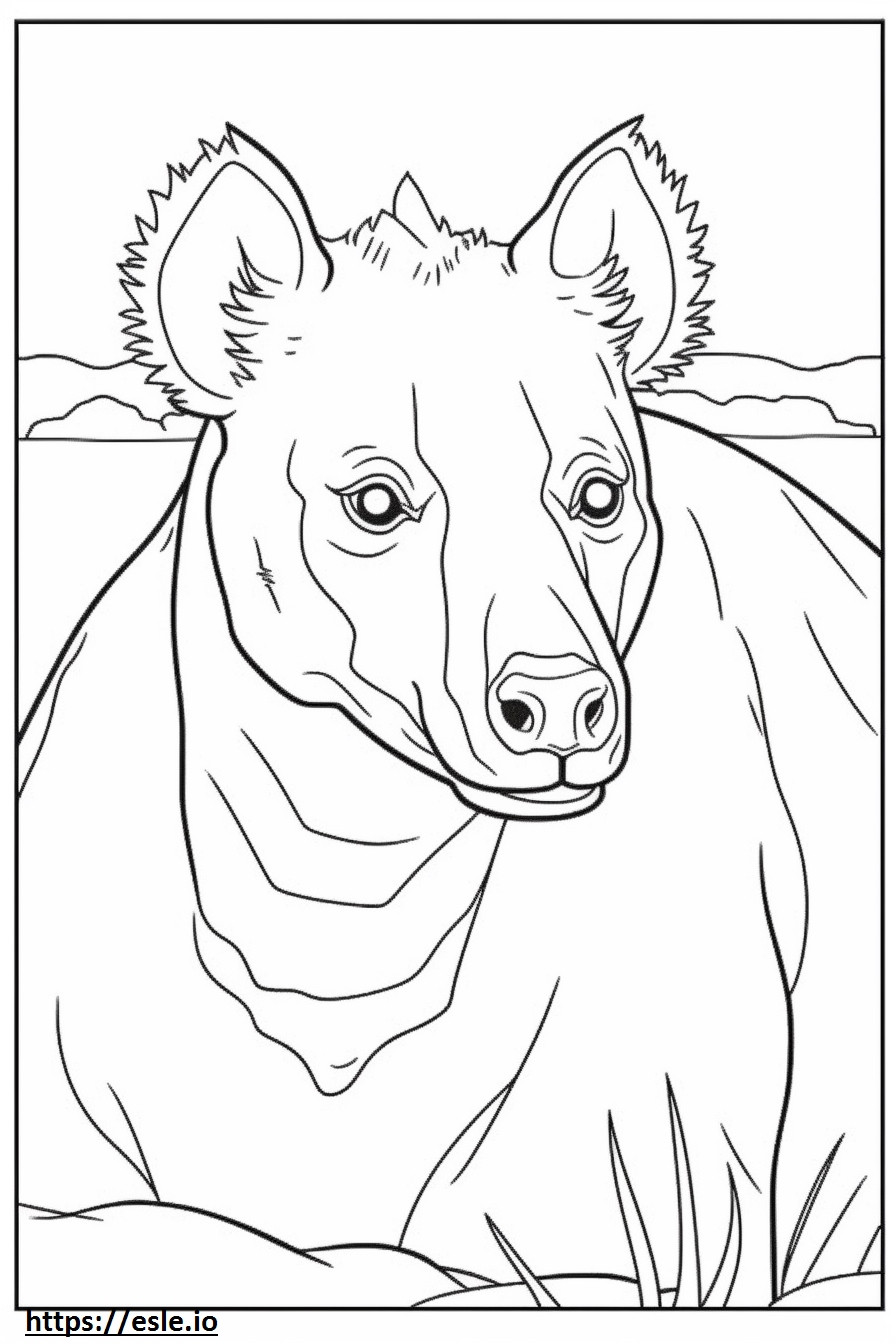 Coloriage Visage de Hyène brune à imprimer