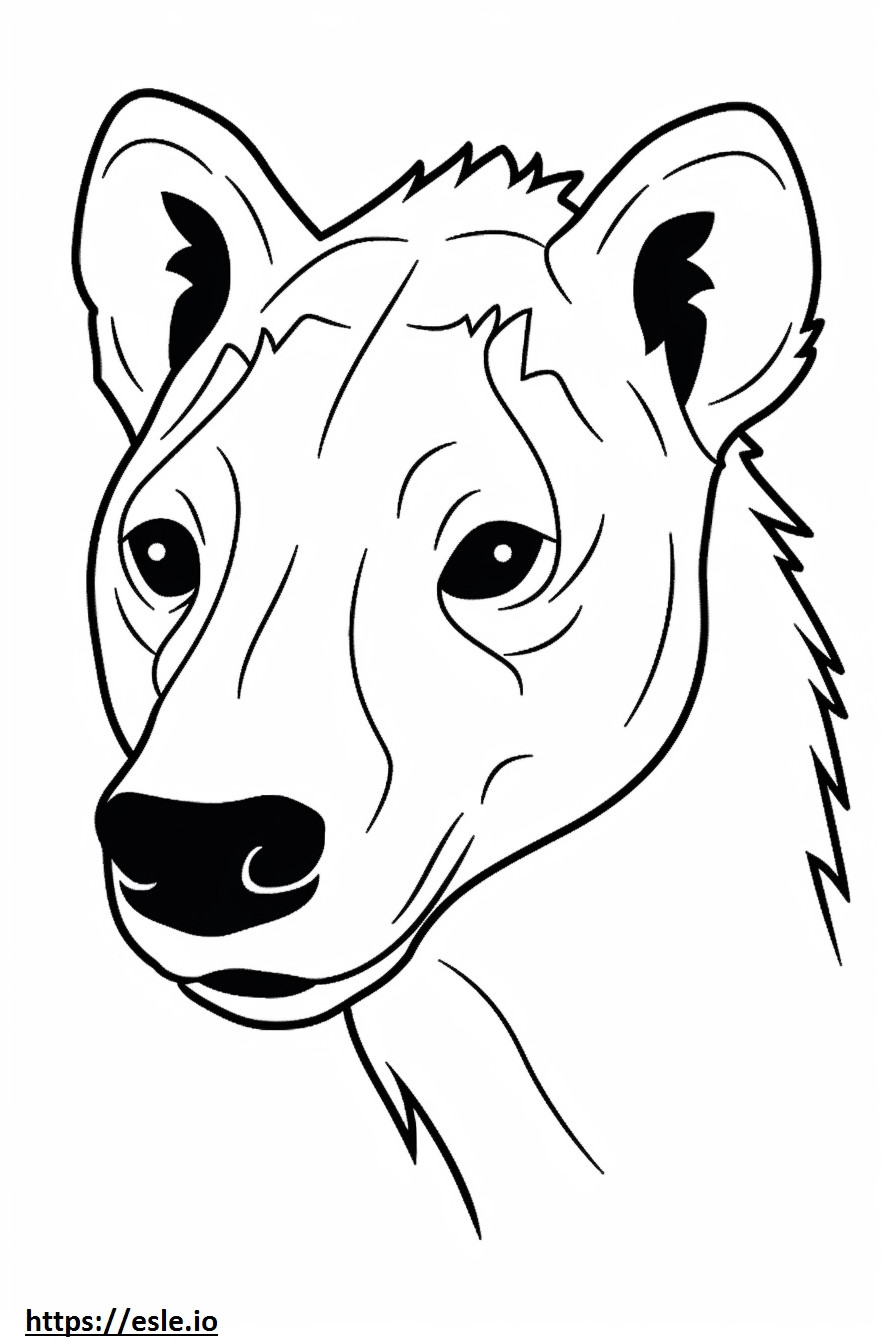 Ruskea hyena kasvot värityskuva